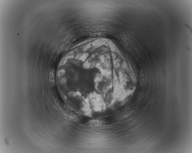 X0000099420699200806060955