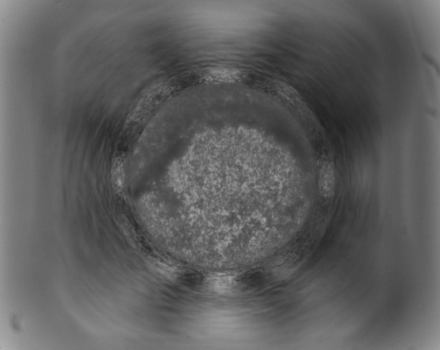 X0000099420701200806060955