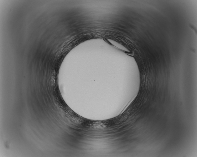 X0000099420702200806060955