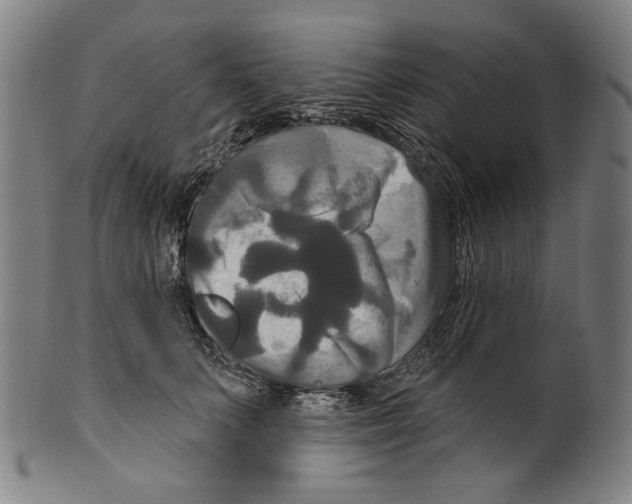 X0000099420703200806060955