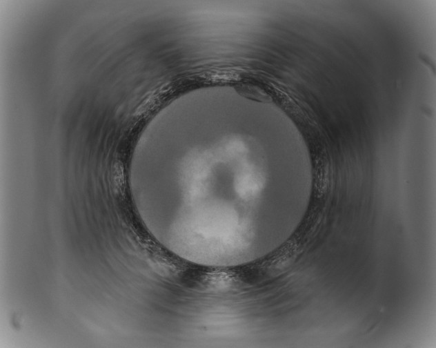 X0000099420704200806060955