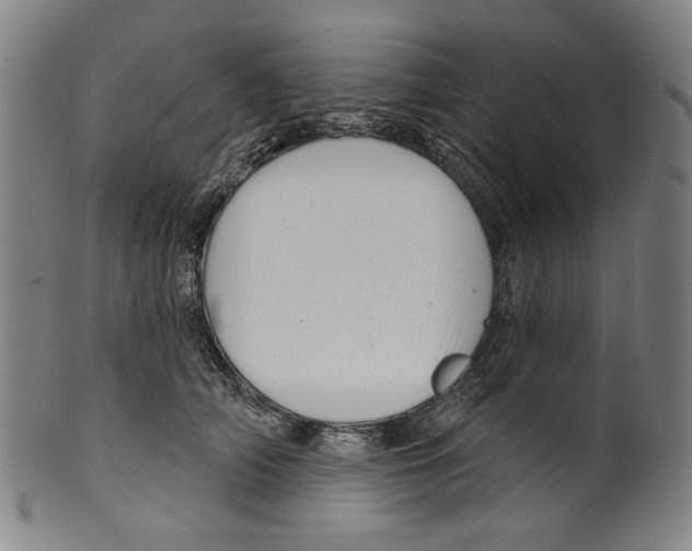 X0000099420706200806060955