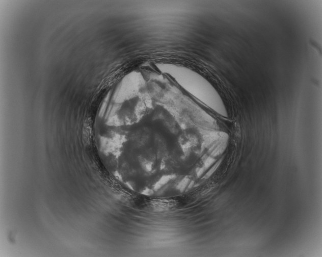 X0000099420707200806060955