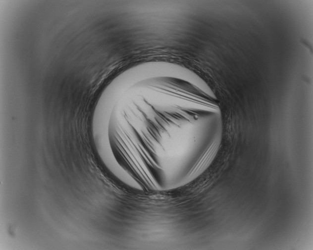 X0000099420708200806060955