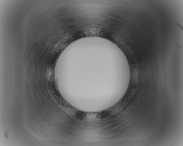 X0000099420709200806060955
