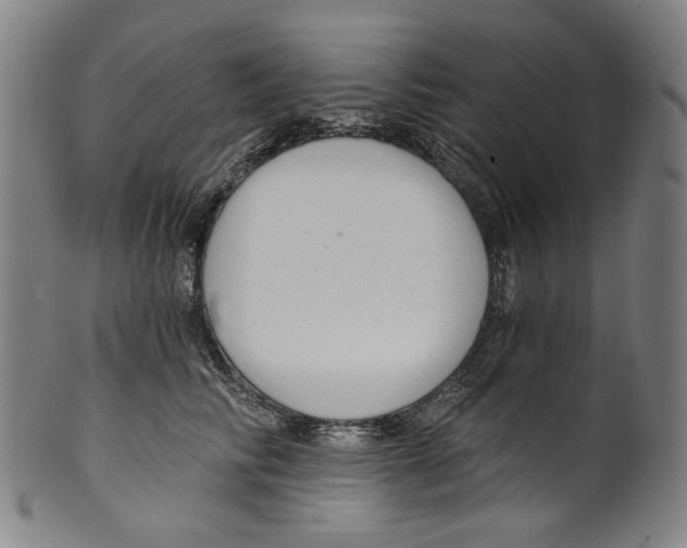 X0000099420710200806060955