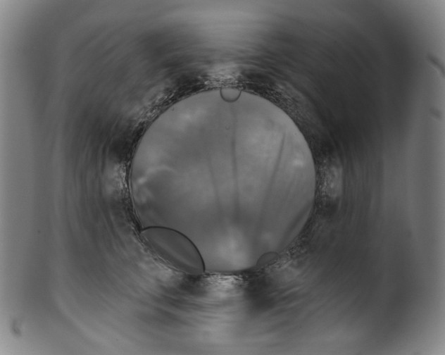 X0000099420711200806060955