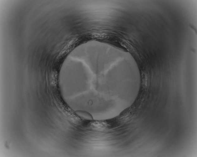 X0000099420712200806060955
