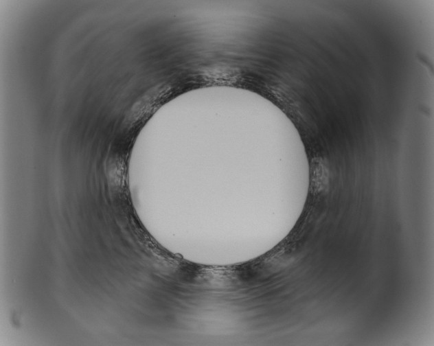 X0000099420713200806060955