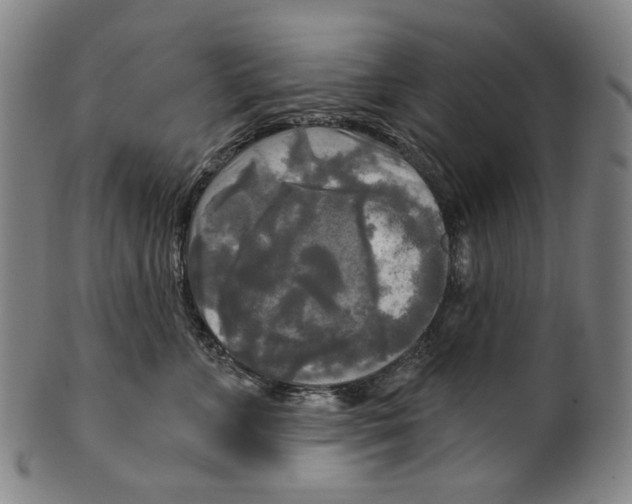 X0000099420715200806060955