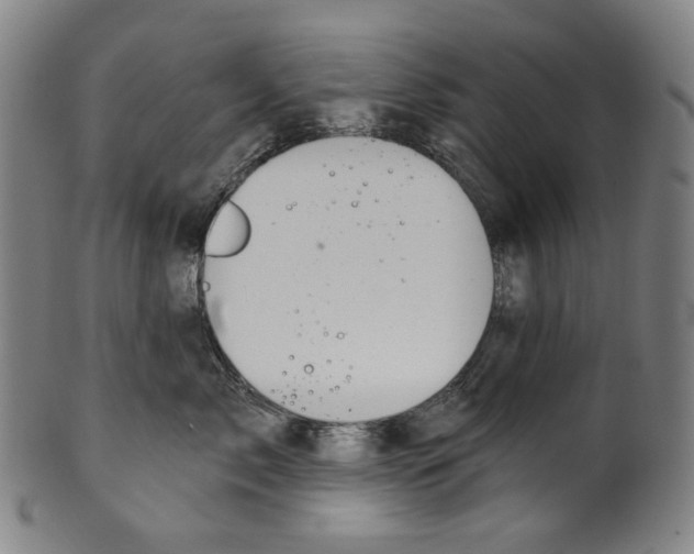 X0000099420717200806060955