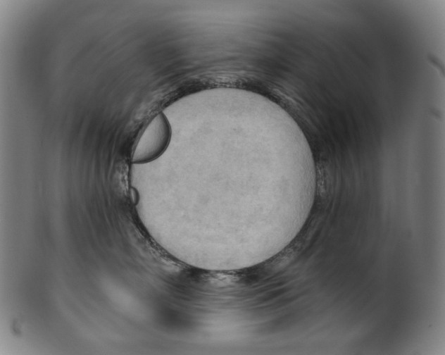 X0000099420718200806060955