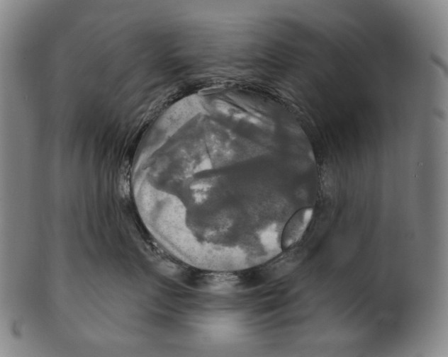 X0000099420719200806060955