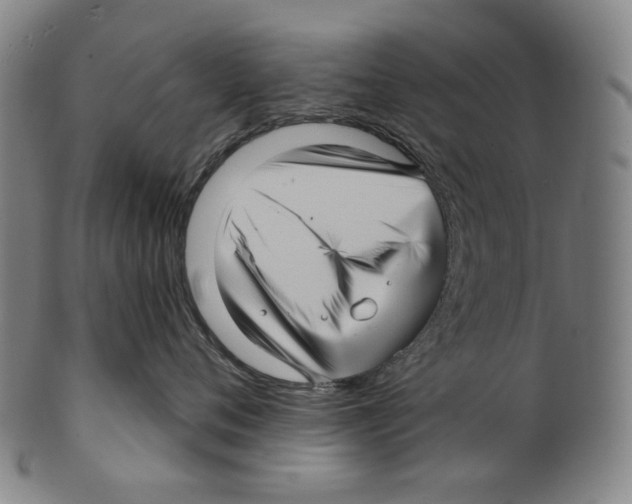 X0000099420720200806060955