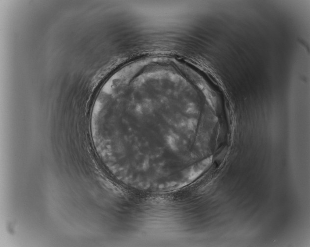 X0000099420721200806060954
