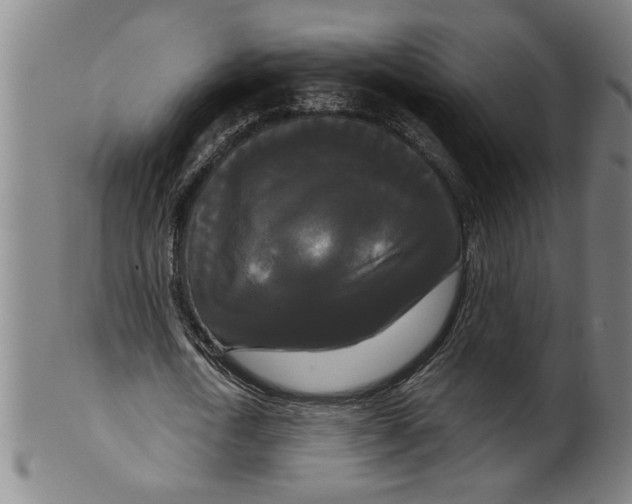 X0000099420722200806060954