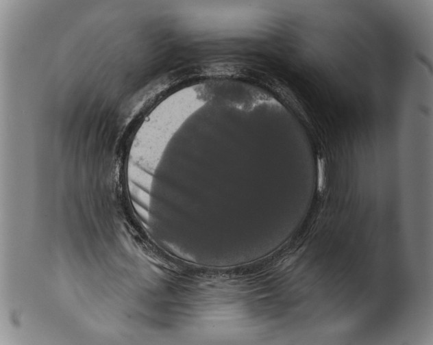 X0000099420723200806060954