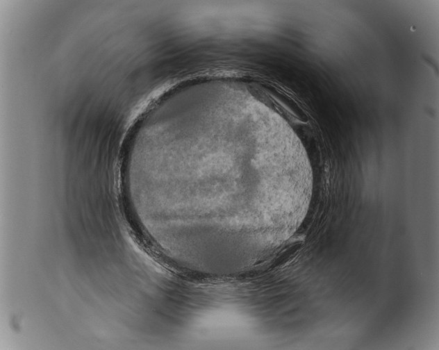 X0000099420726200806060954