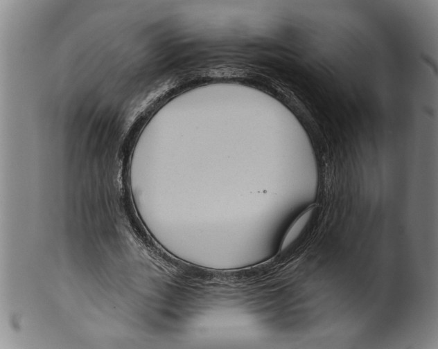 X0000099420727200806060954