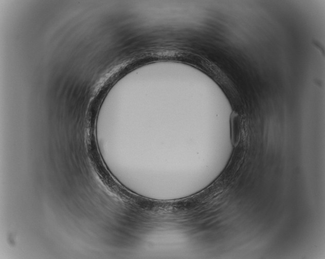 X0000099420728200806060954