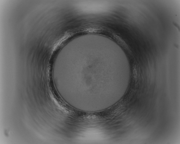 X0000099420730200806060954