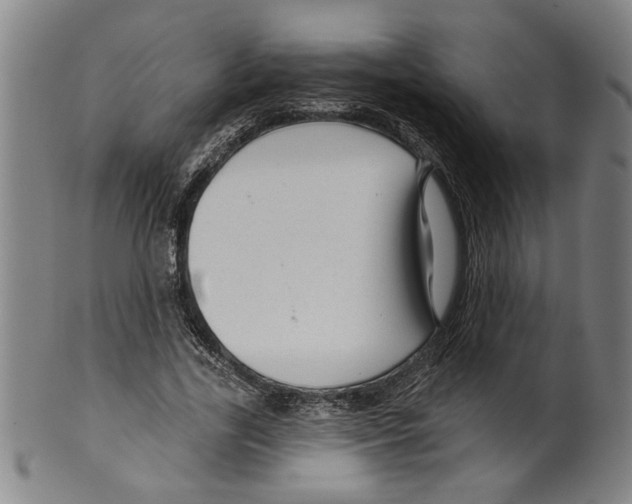 X0000099420731200806060954