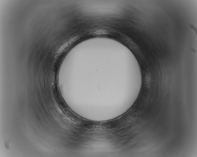 X0000099420732200806060954