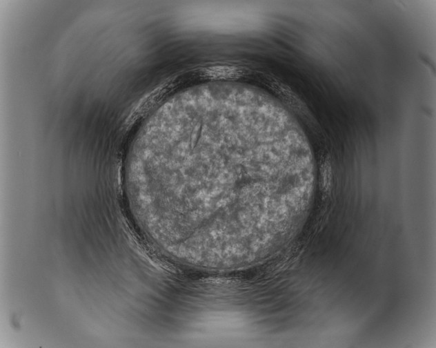 X0000099420733200806060954
