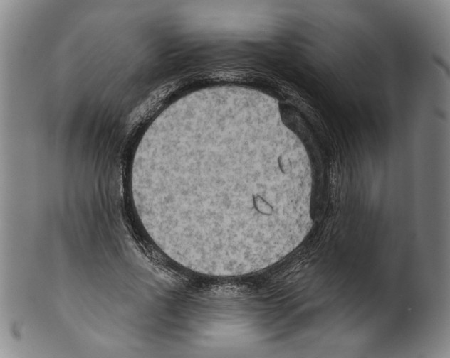 X0000099420734200806060954