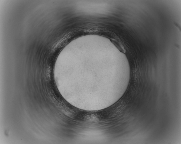 X0000099420735200806060954