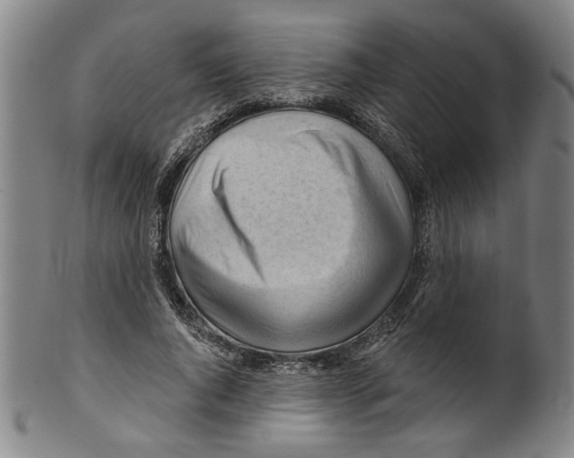 X0000099420736200806060954