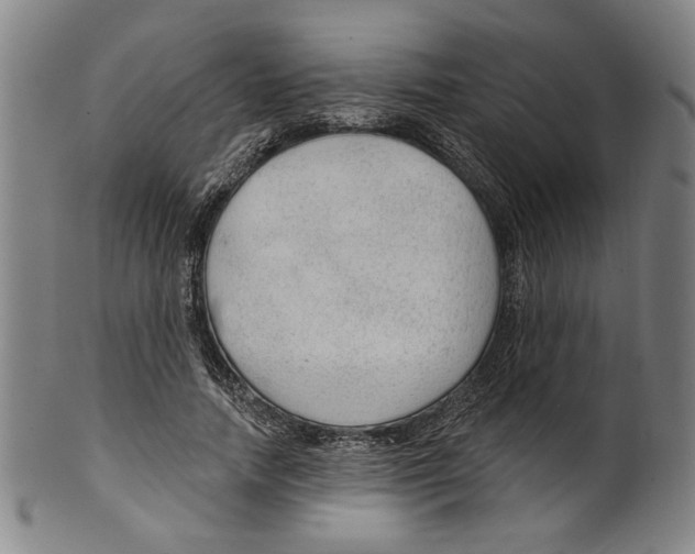 X0000099420738200806060954