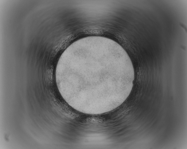 X0000099420739200806060954