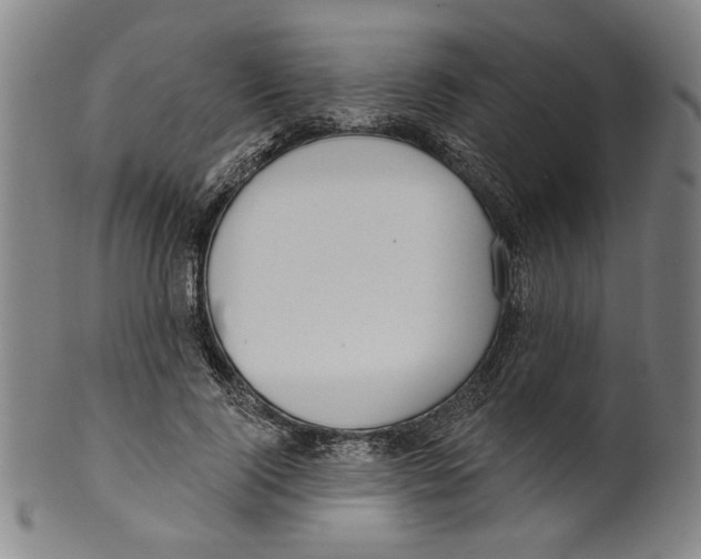 X0000099420740200806060954
