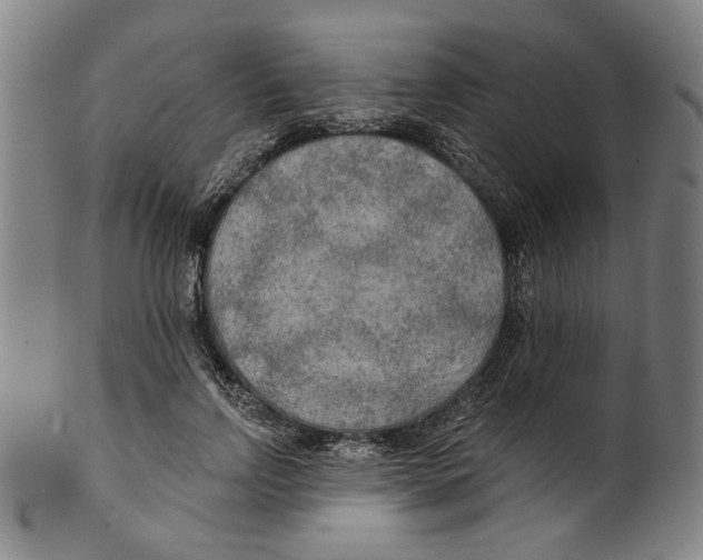 X0000099420742200806060954