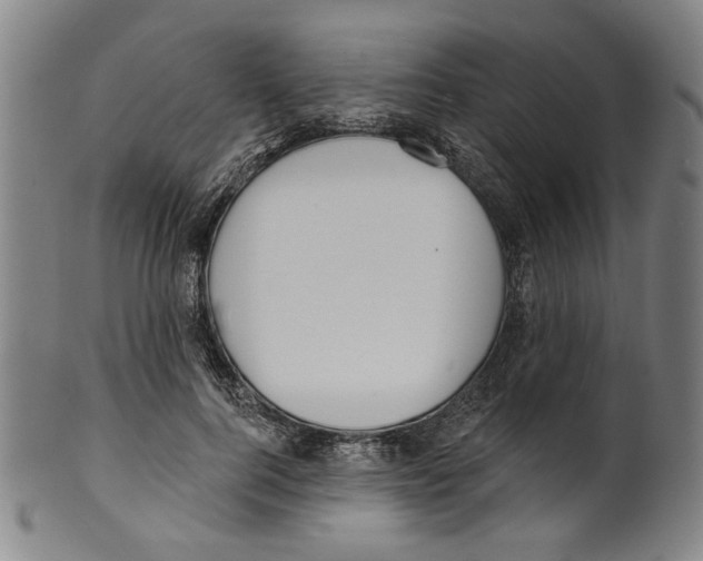 X0000099420744200806060954