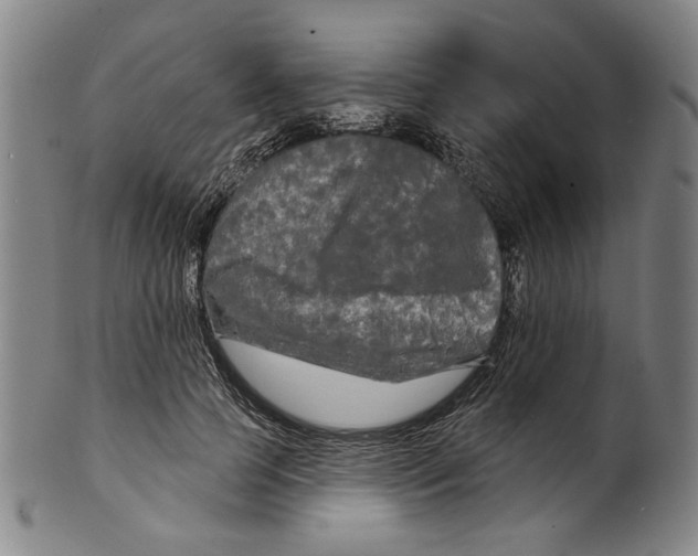X0000099420745200806060954