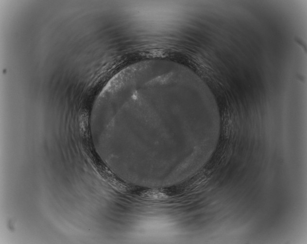 X0000099420747200806060954
