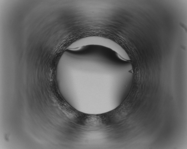 X0000099420750200806060955