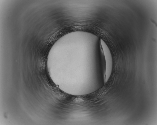 X0000099420751200806060955