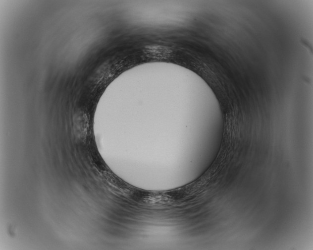 X0000099420752200806060955