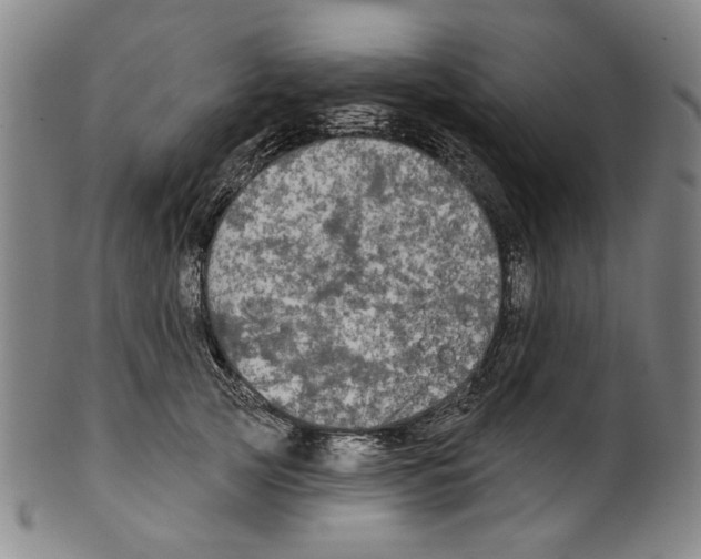 X0000099420753200806060955