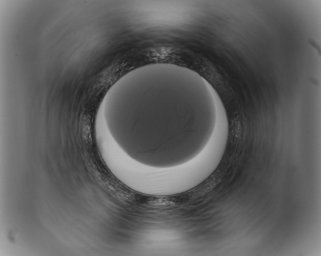 X0000099420754200806060955