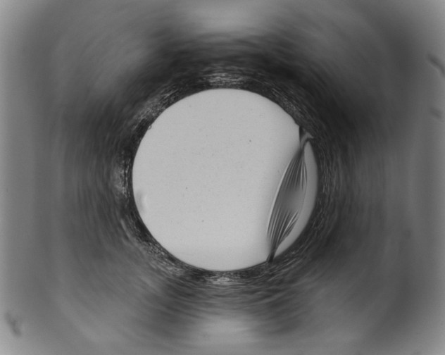 X0000099420755200806060955