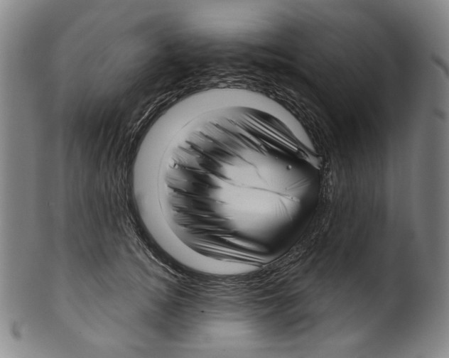 X0000099420756200806060955