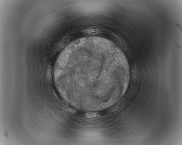 X0000099420757200806060955