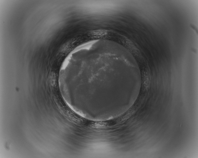 X0000099420758200806060955