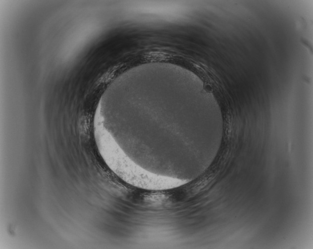 X0000099420759200806060955