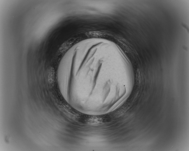 X0000099420760200806060955