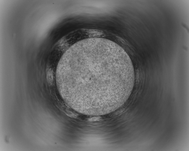 X0000099420761200806060955